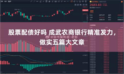 股票配债好吗 成武农商银行精准发力，做实五篇大文章