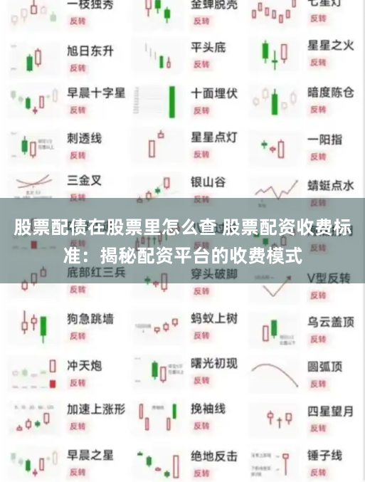 股票配债在股票里怎么查 股票配资收费标准：揭秘配资平台的收费模式