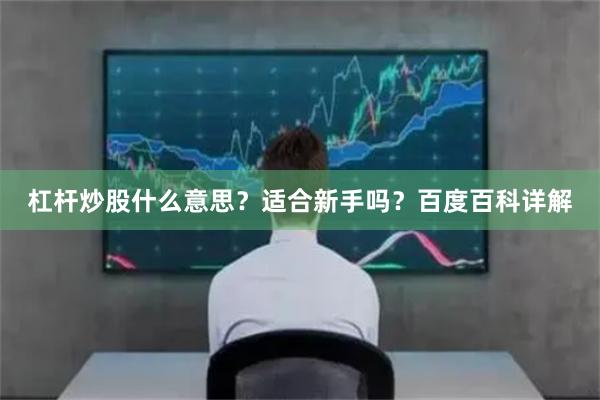 杠杆炒股什么意思？适合新手吗？百度百科详解